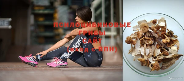spice Богородск