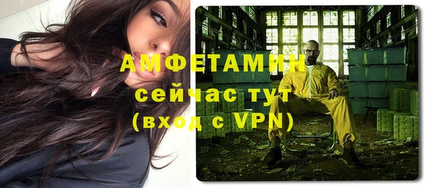 соль ск Богданович