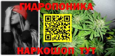 дмт Пугачёв