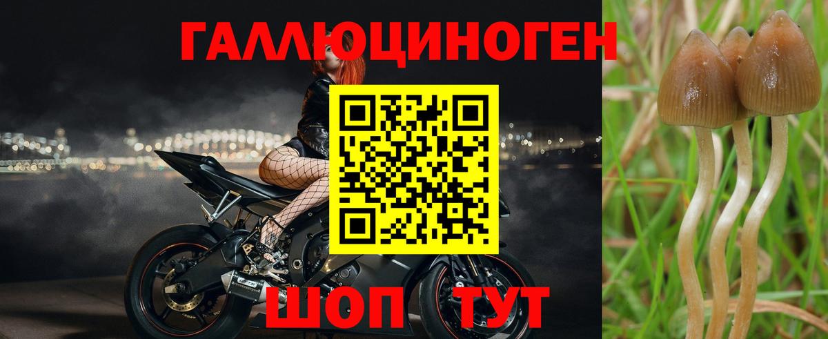 Галлюциногенные грибы Psilocybine cubensis  Вход с VPN  Семилуки 