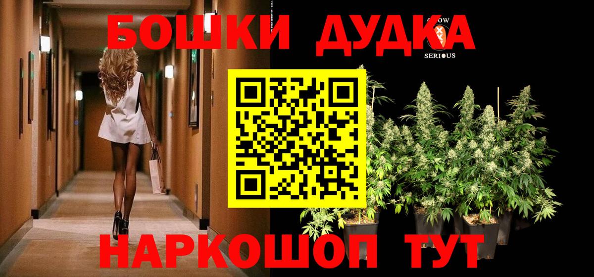 Каннабис OG Kush Семилуки